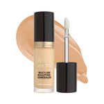 Too faced Born This Way Concealer