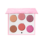 OFRA MIX FACE PALETTE - BLUSHFUL